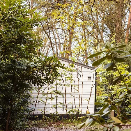 Modern In Bosrijke Omgeving Vakantiehuis Nunspeet