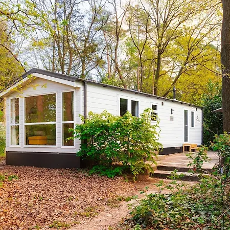 Vakantiehuis Modern In Bosrijke Omgeving Nunspeet