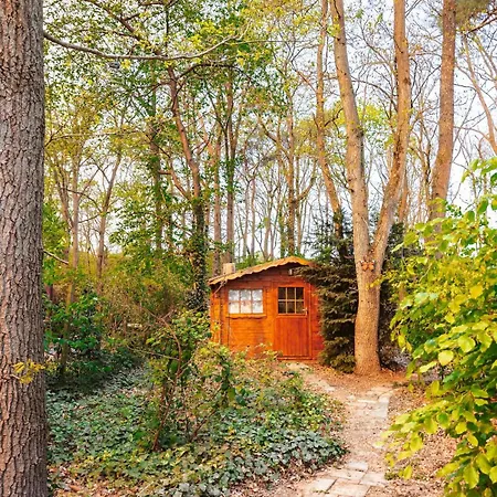 Modern In Bosrijke Omgeving Nunspeet